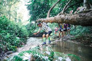 BIB: 
                            <button type="button" onclick="openModal(25441103)" class="btn btn-primary btn-sm float-right btn-popup" data-toggle="modal" data-target=".modal-high-quality">
                        <i class="fas fa-shopping-cart"></i> Add to Cart
                    </button>
                                            <button type="button" onclick="isThisMe(25441103, true)" class="btn btn-success btn-sm float-right btn-popup btn-isme hidden" data-toggle="tooltip" data-placement="bottom" title="นี่คือรูปของคุณใช่ไหม คลิกที่นี่เพื่อเอาเข้าอัลบั้ม">
                        <i class="fas fa-plus"></i> Add to album
                    </button>
                    <button type="button" onclick="isThisMe(25441103, false)" class="btn btn-warning btn-sm float-right btn-popup btn-isnotme hidden">
                        <i class="fas fa-ban"></i> Remove from album
                    </button>